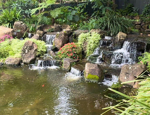 Ponds Image