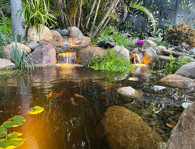 Custom <span>Designed</span> Fish Ponds Image