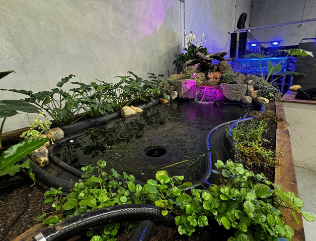 Prefabricated <span>Poly Ponds</span> Image
